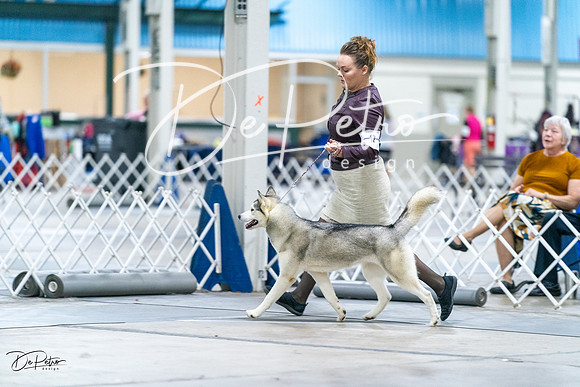 20231029-DSC06478