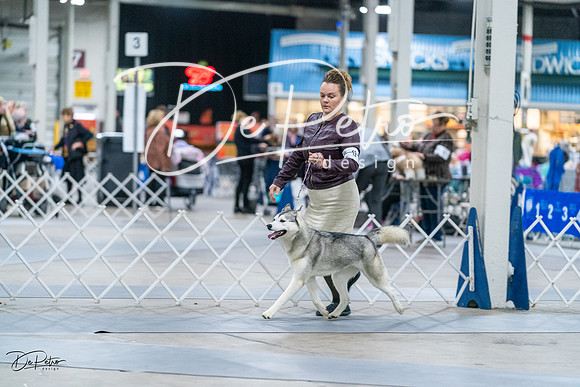 20231029-DSC06503