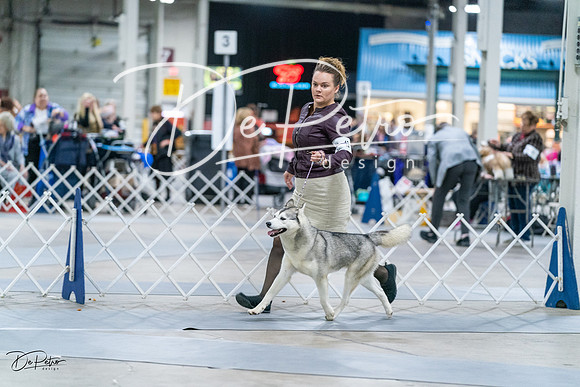 20231029-DSC06507