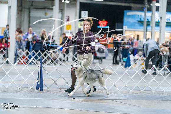 20231029-DSC06511