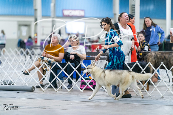 20231029-DSC06519