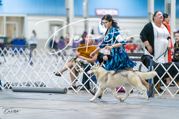 20231029-DSC06523