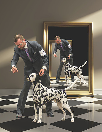 dalmatian3