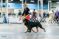 20231029-DSC06611