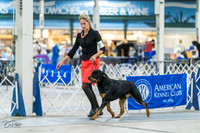 20231029-DSC06602