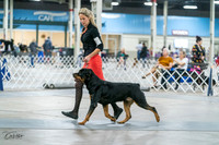 20231029-DSC06621