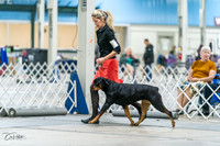 20231029-DSC06636