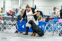 20231029-DSC06632