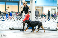 20231029-DSC06641