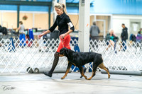 20231029-DSC06642
