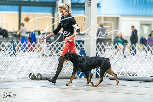 20231029-DSC06642