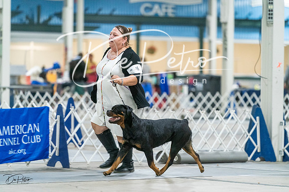20231029-DSC06661