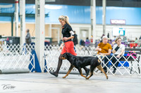 20231029-DSC06686