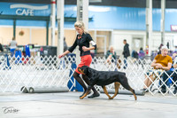 20231029-DSC06691