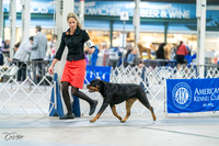 20231029-DSC06700