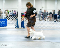 20231029-DSC07037