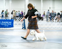 20231029-DSC07040