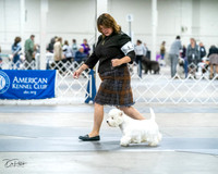 20231029-DSC07041
