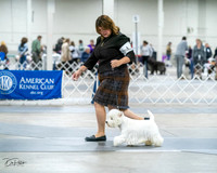 20231029-DSC07042