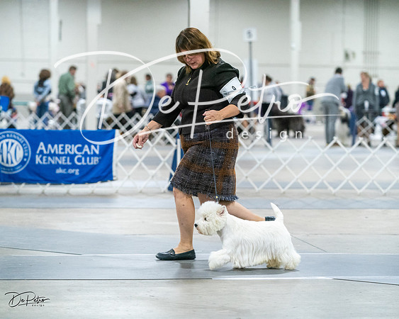 20231029-DSC07042
