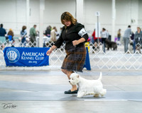 20231029-DSC07044