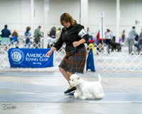 20231029-DSC07045