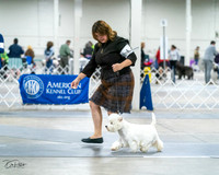 20231029-DSC07046