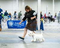 20231029-DSC07047