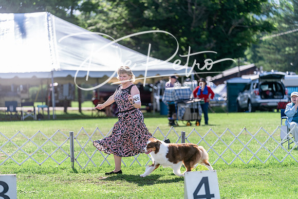 20240630-DSC04650