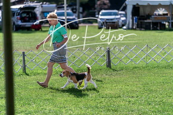 20240630-DSC05101