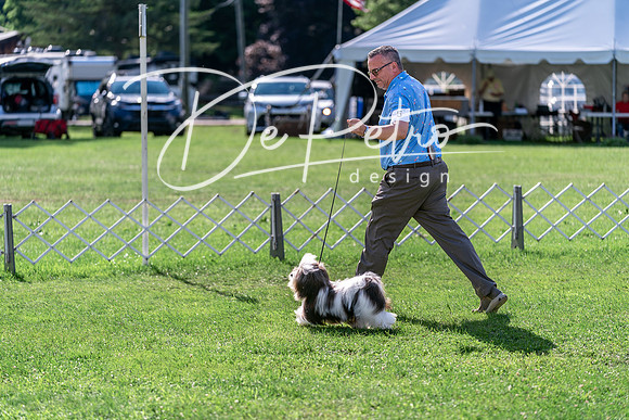 20240630-DSC05138