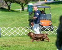 20250629-DSC00071