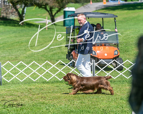 20250629-DSC00071