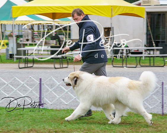20181014-DSC02700