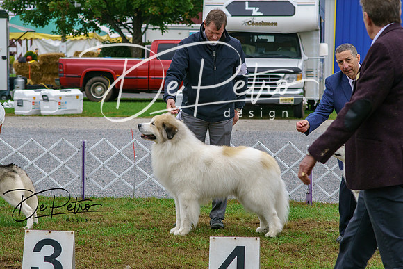 20181014-DSC02779