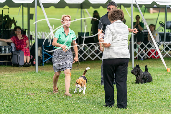 20240630-DSC05747