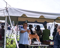 20250626-DSC04432