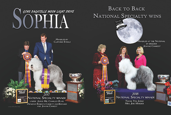sophia nov 16