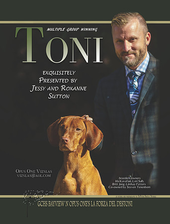 Toni nov 16