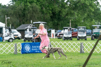 20240630-DSC02217