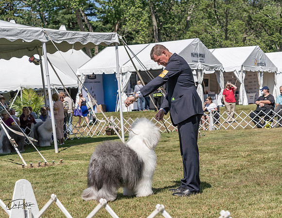 20220620-DSC04078