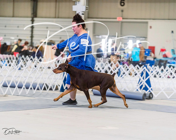 20220306-DSC00439