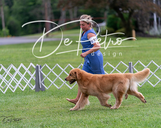 20240630-DSC01041