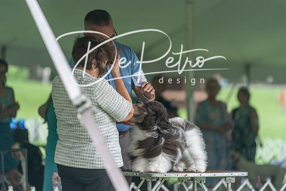 20240630-DSC05539