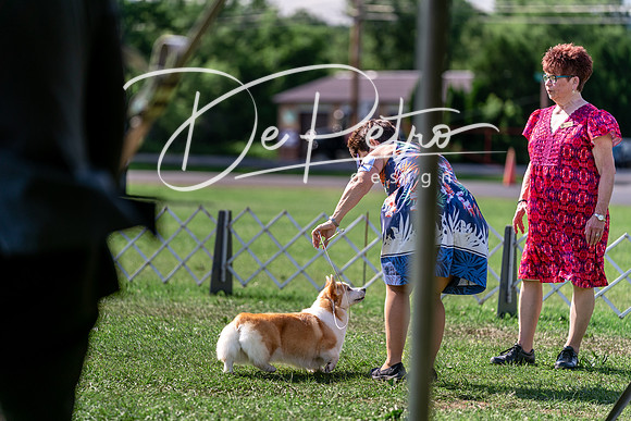 20240630-DSC04988