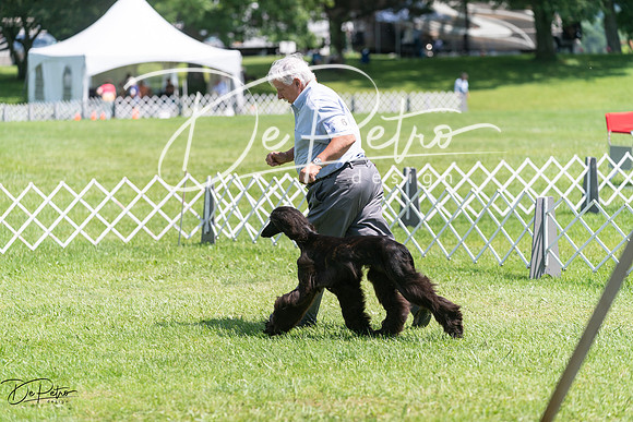 20240630-DSC01765