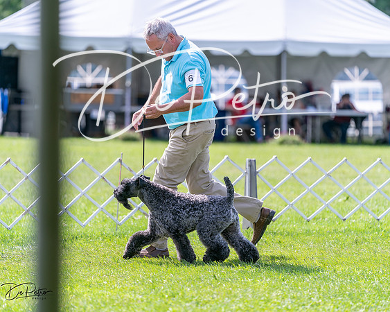20240630-DSC03733