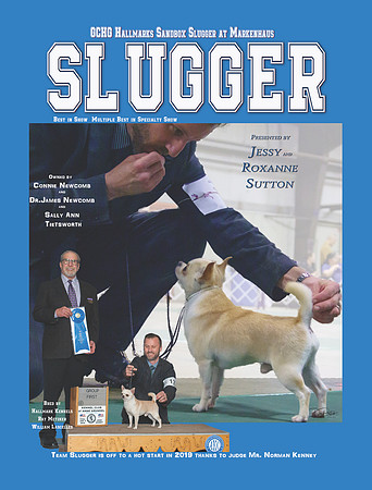 Slugger 11219v2