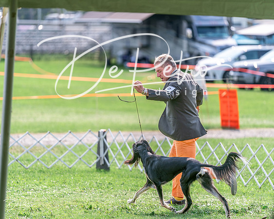 20240815-DSC06921