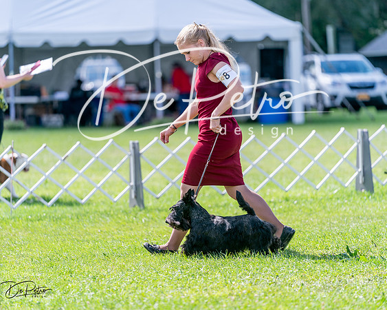 20240630-DSC03455